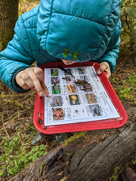 a student closely compares a specimen and an insect identification sheet