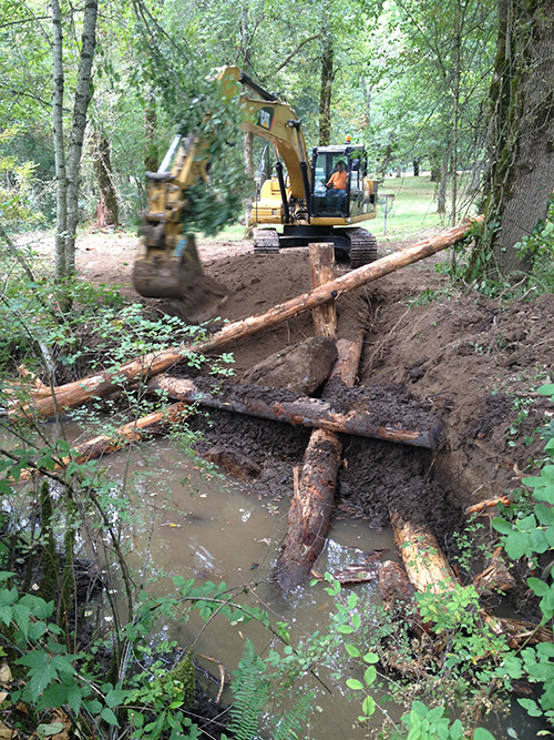Building log structures to improve habitat in Wahkeena Creek