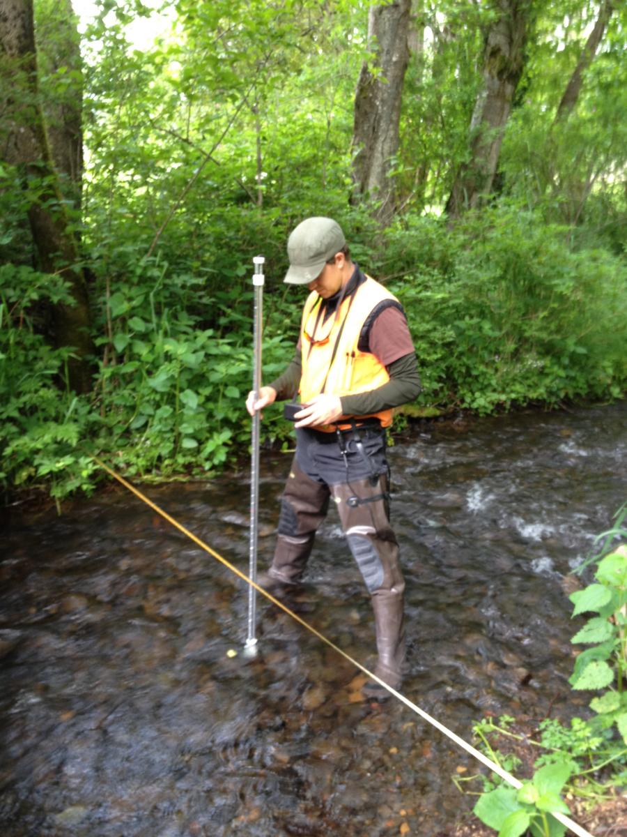 Stream discharge measurements at Wahkeena Creek
