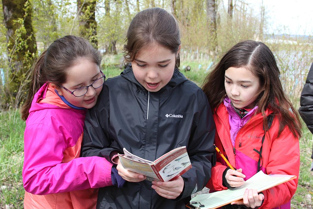 three students examine a bird guide together
