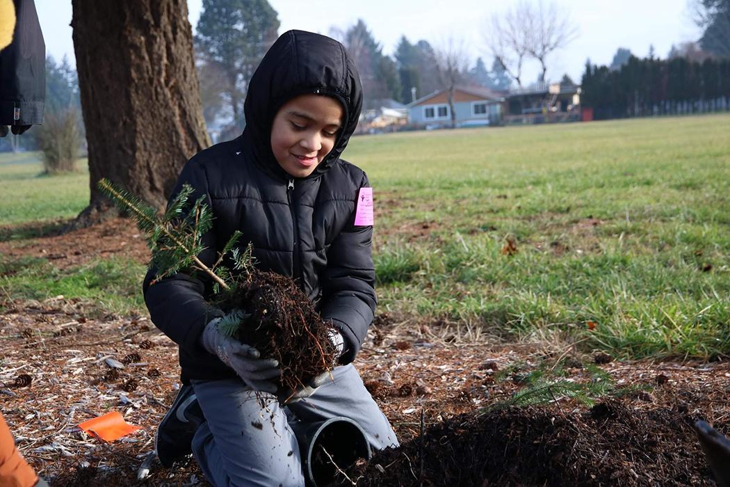 student kneels down to plant a small conifer tree