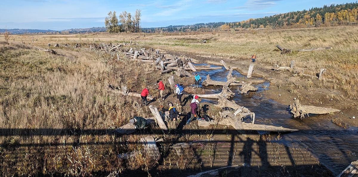 volunteers plant along Gibbons Creek, as viewed from a bridge above