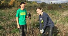 Salmon Creek volunteers Volunteers plant trees at Salmon Creek