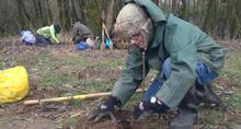 volunteer at Sandy River Delta Volunteer plants a tree at Sandy River Delta