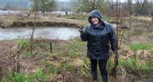 Volunteer plants trees at La Center Bottoms Volunteer at La Center Bottoms
