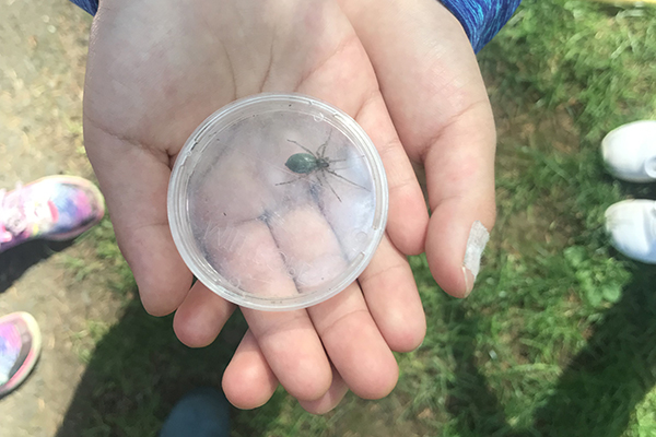 a child's hands hold a petri dish holding an insect