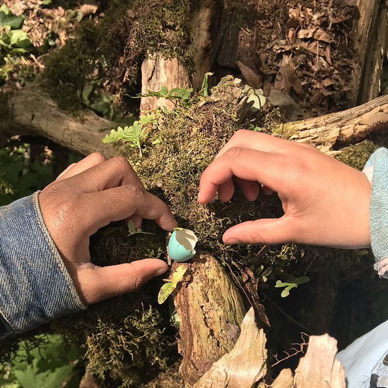 two different hands reach for a piece of robin's egg shell