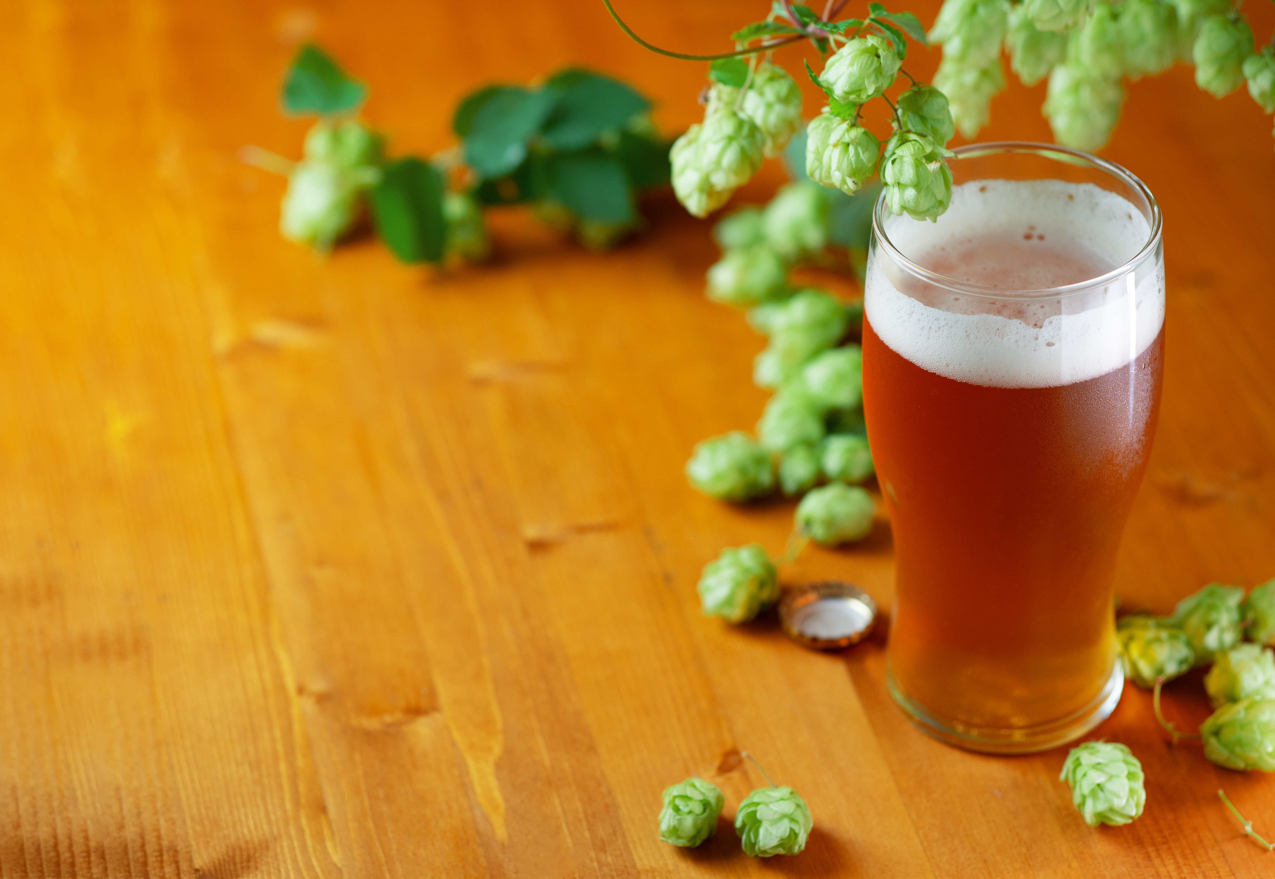 beer