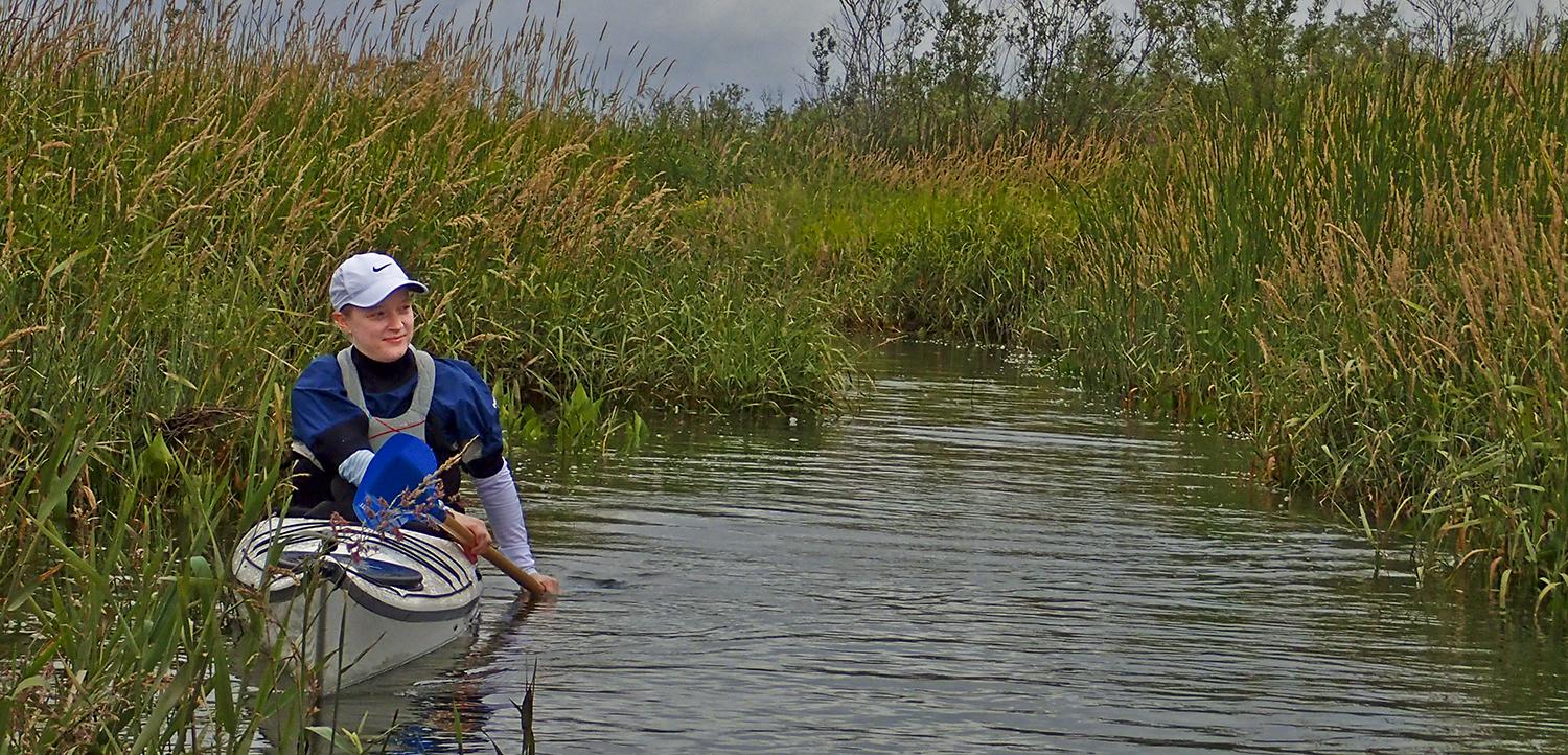 woman kayaks through tall grasses
