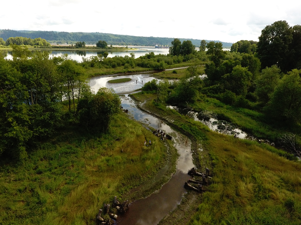 Aerial image of Batwater