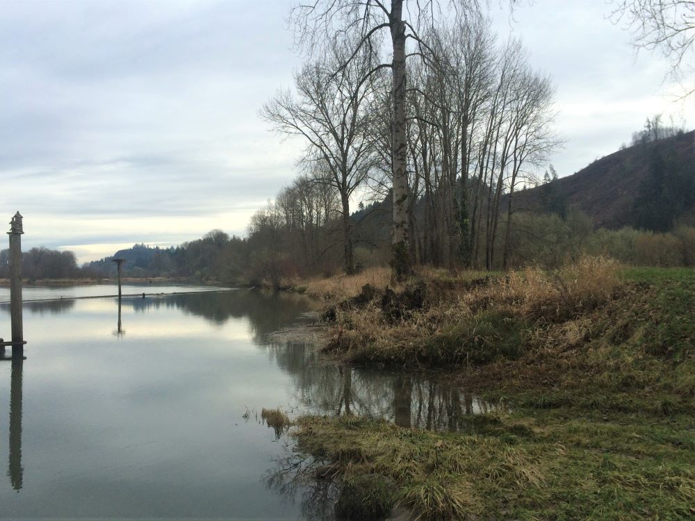 The levee along Batwater Station before the project