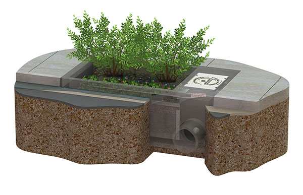 a cross section of a biopod shows how plantings over mulch connect to the storm system