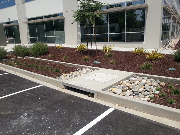 an installed biopod appears much like a normal storm drain