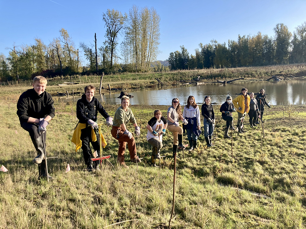 people line up in a row to plant trees