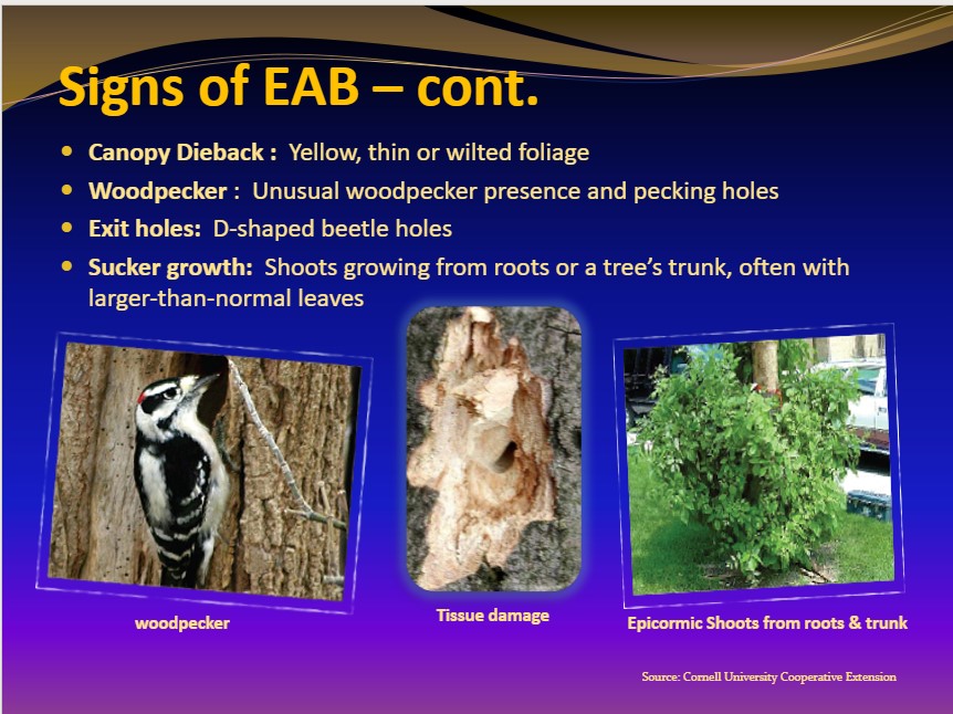 EAB signs 2