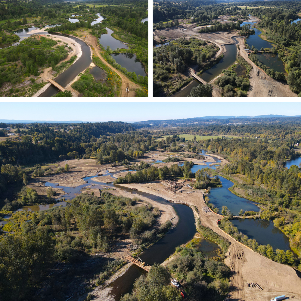 floodplain reconnection