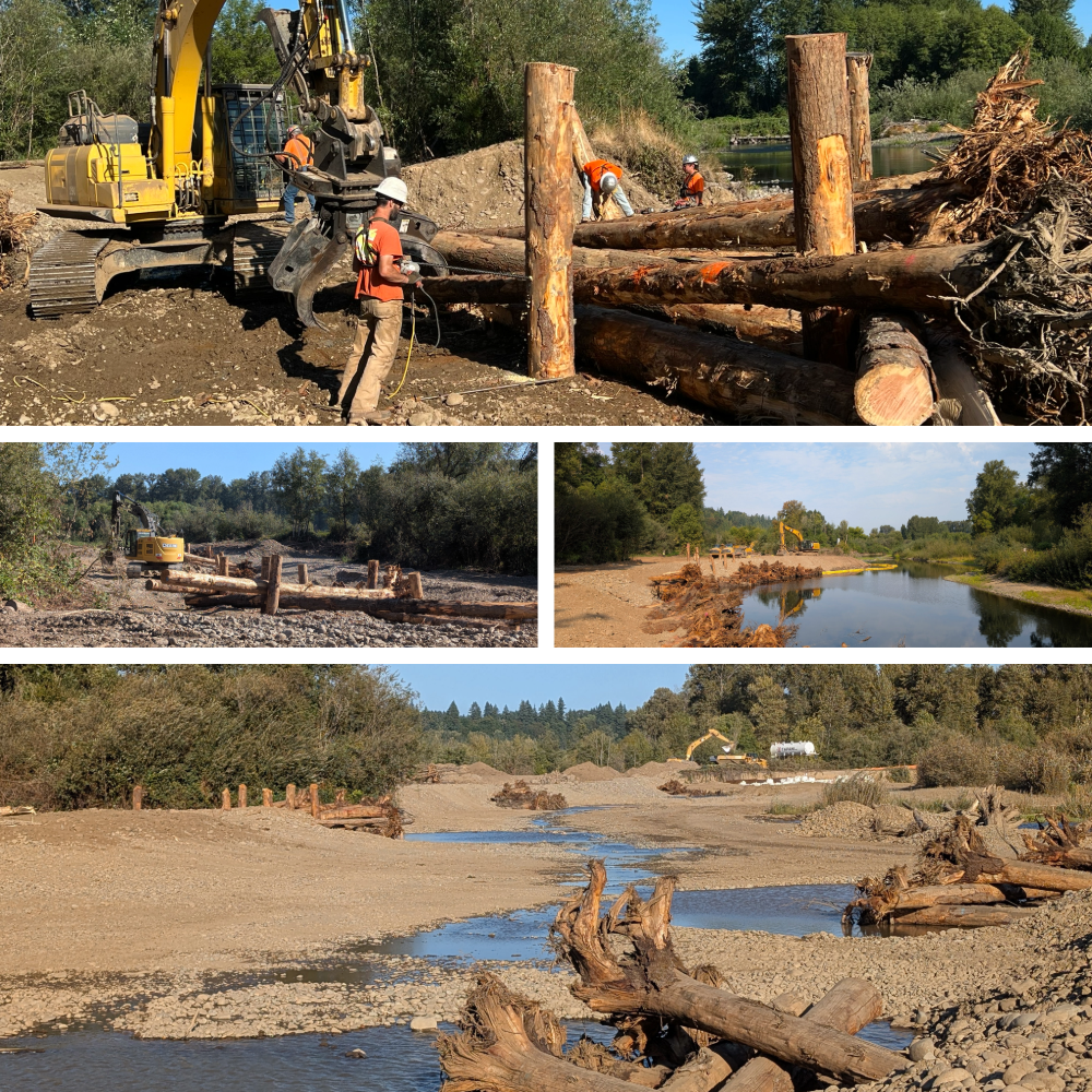 East Fork Lewis River Reconnection Project | Estuary Partnership