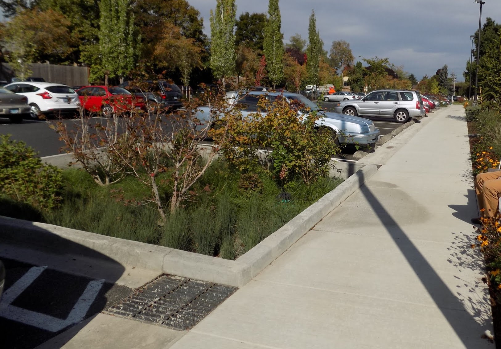 parking lot filtration facility with a connecting storm drain in the foreground