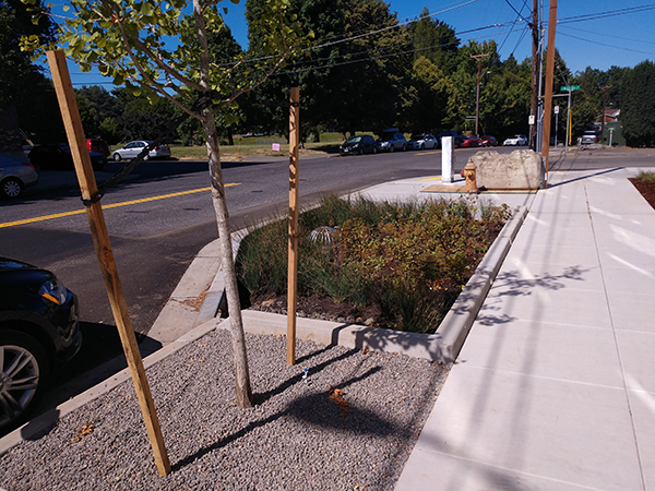 filtration facility planted with grasses on a streetside