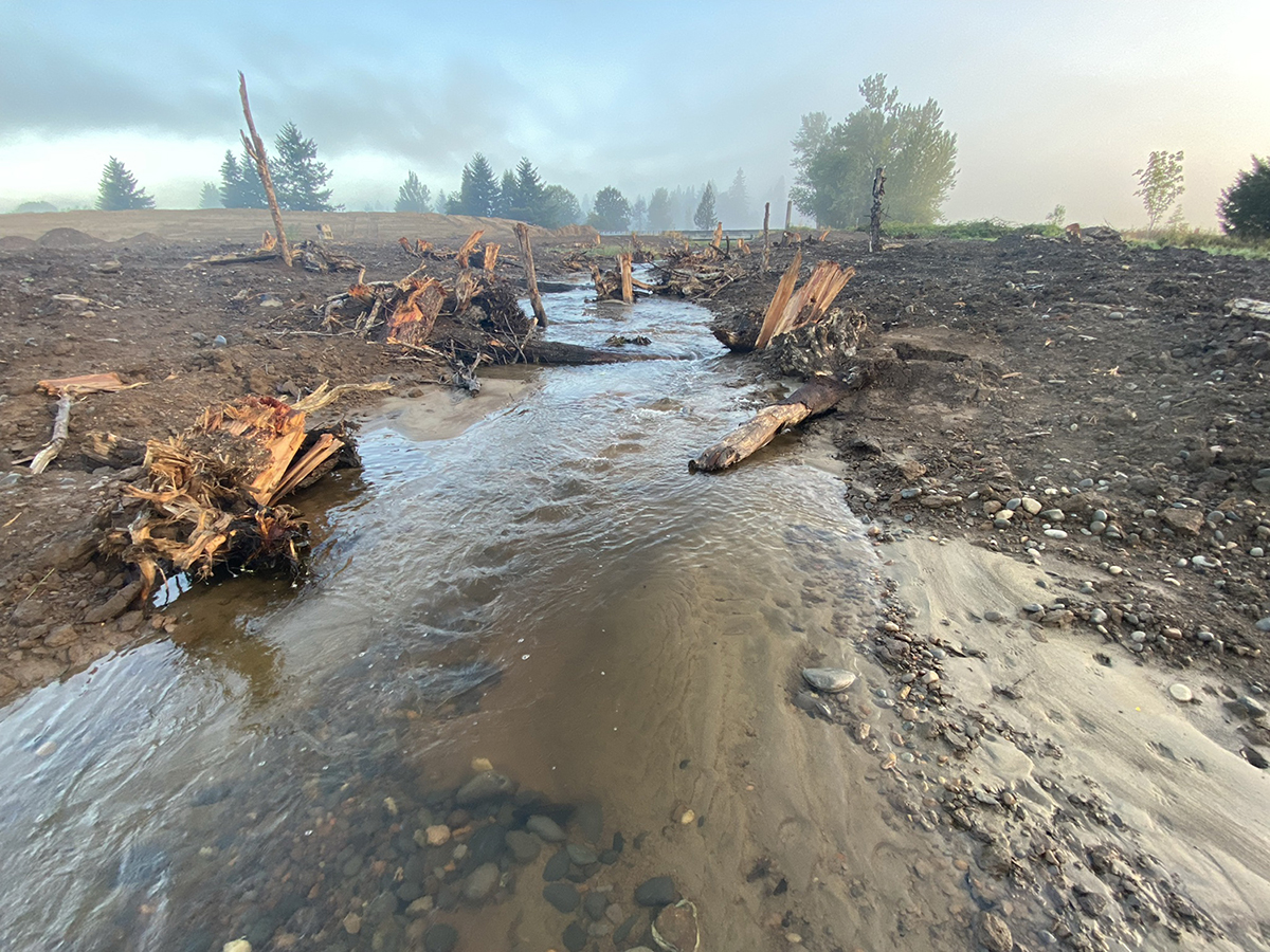 a river channel with large wood structures and gravel bars