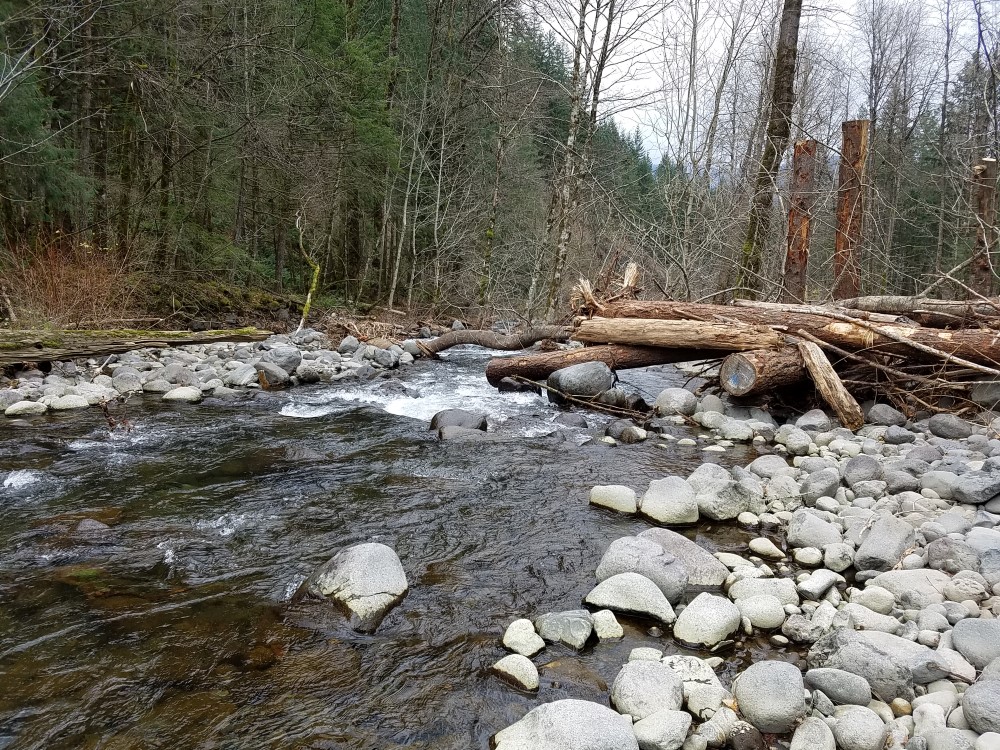 Hamilton Creek post-construction December 2017