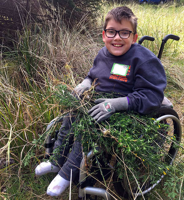 boy in a wheelchair pauses from pulling non-native scotch broom to smile at the camera