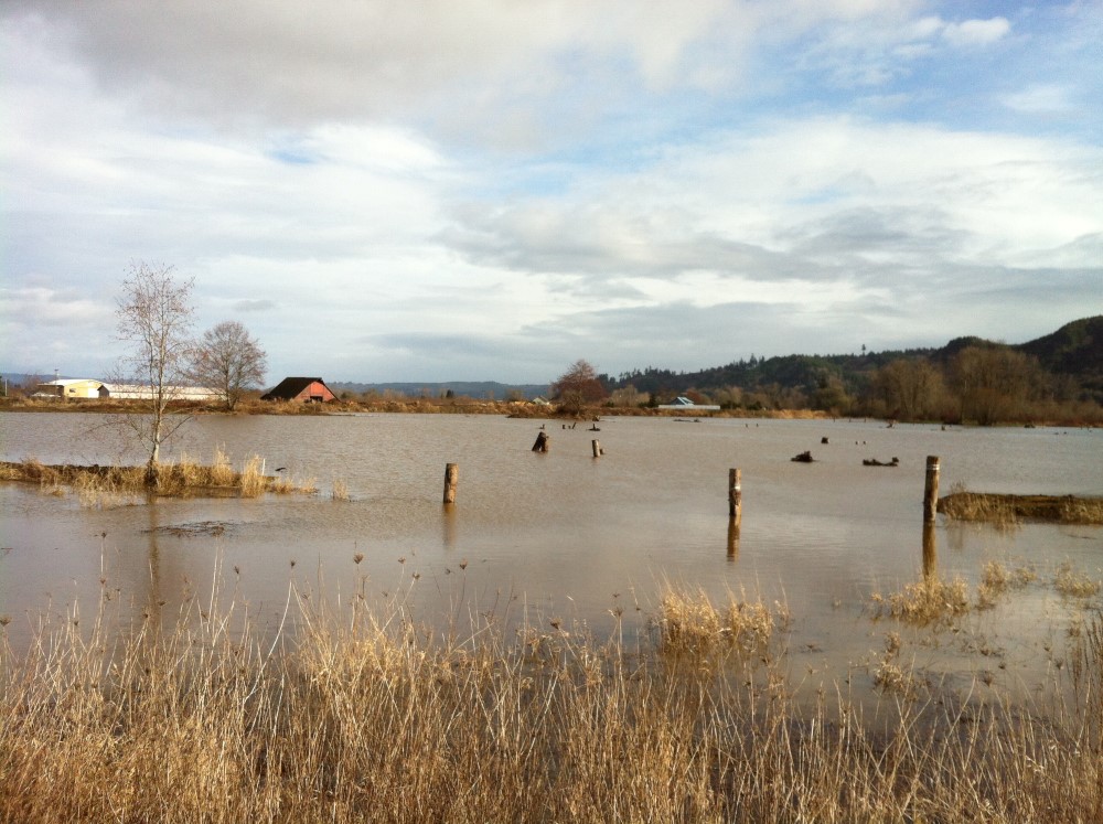 high water at the site post-construction