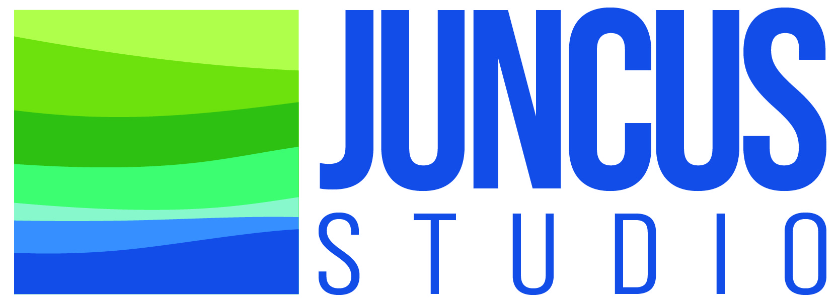 Juncus Studio