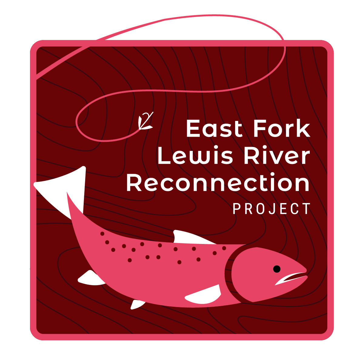 project logo depicts a steelhead and fly fishing line
