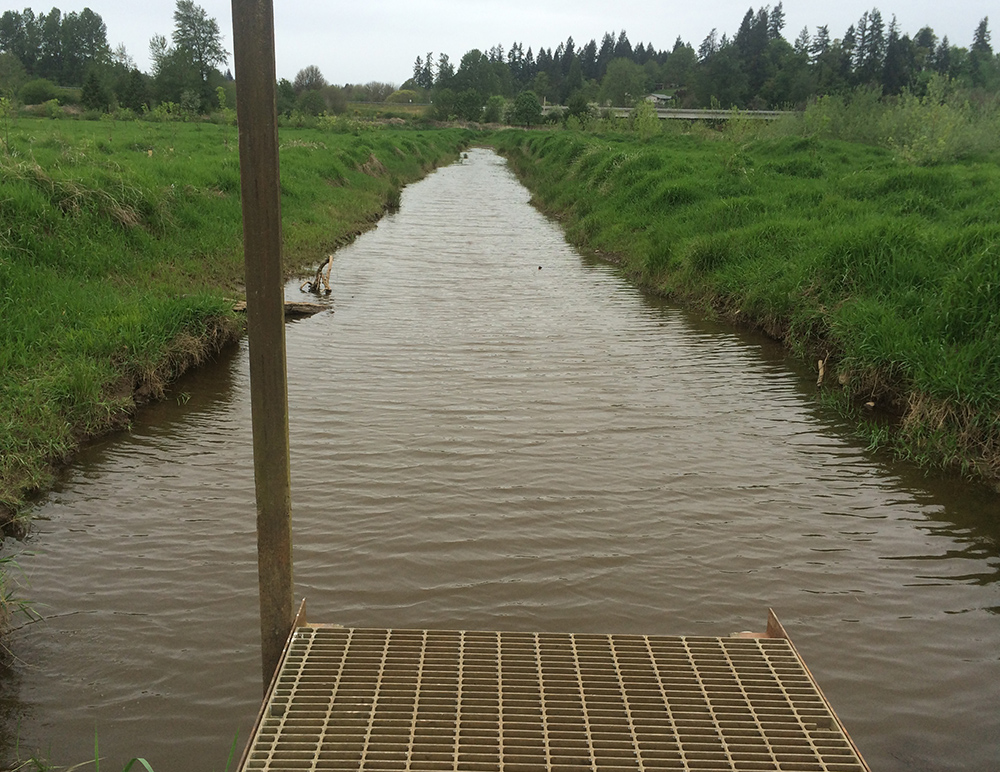 water control structure and straightened channel