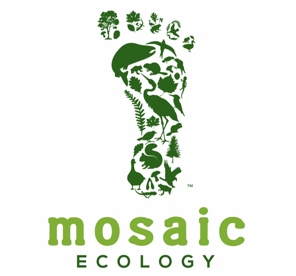 Mosaic Ecology