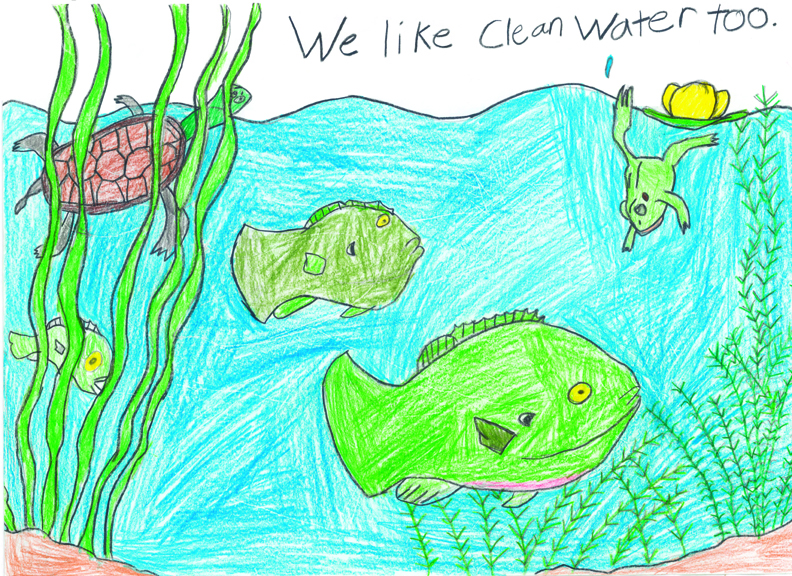child's drawing of fish and other aquatic life, reads "We need clean water too"