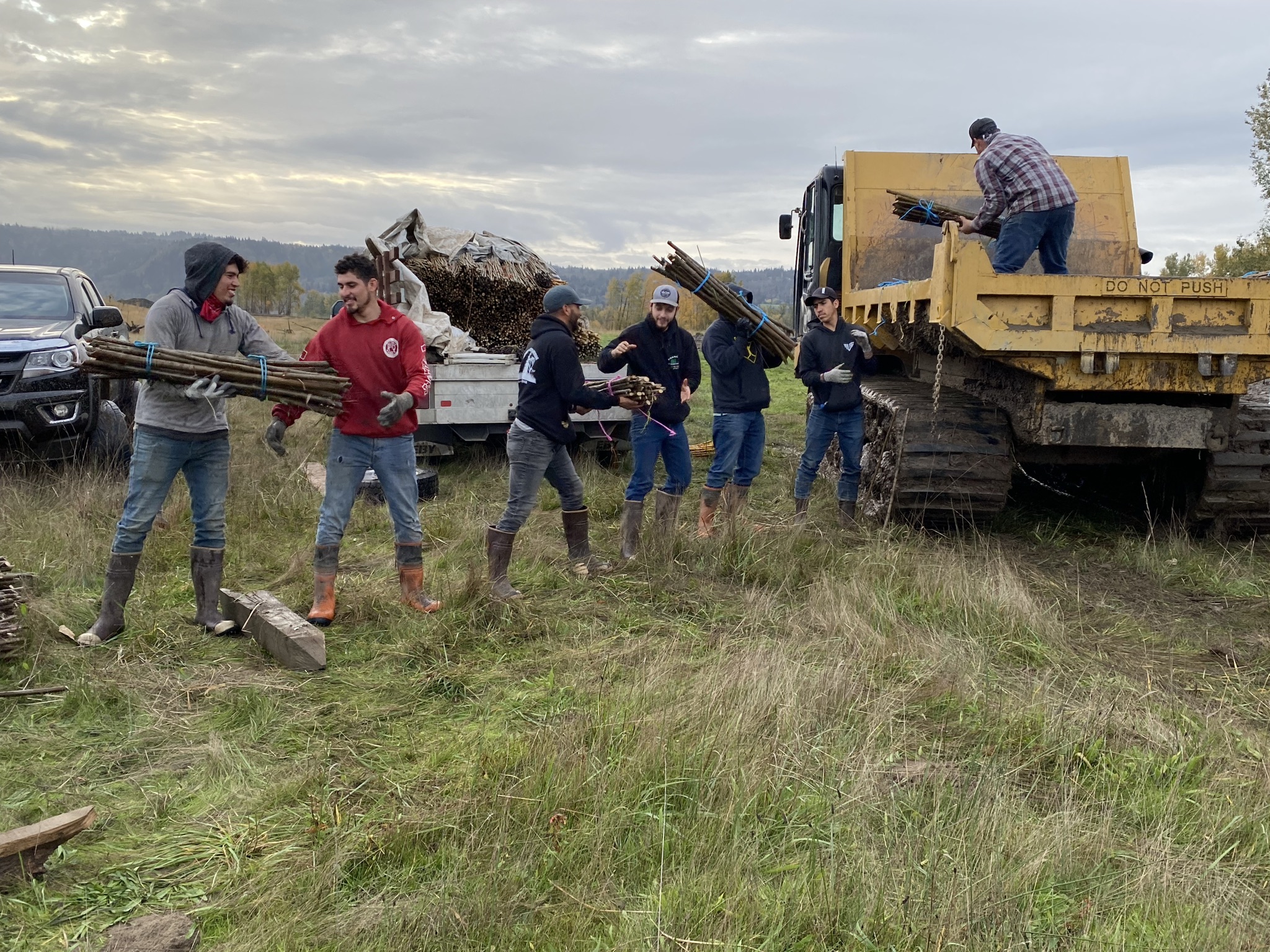 Loading a Morooka with plants