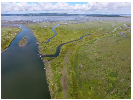 estuary lesson