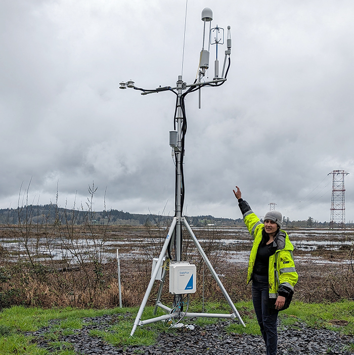 Research Scientist gestures toward an Eddy Flux tower, which sits next to a tidal wetland
