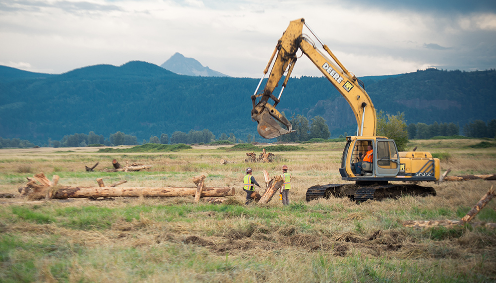 Adding large wood habitat structures