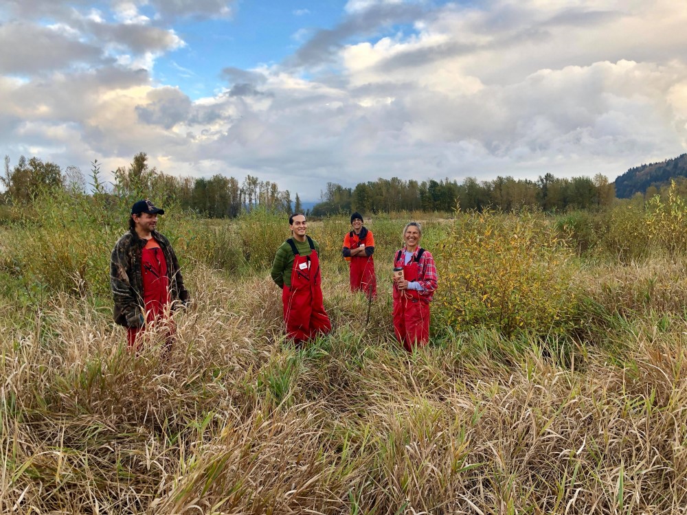 Wisdom Workforce members planting at Sandy River Delta