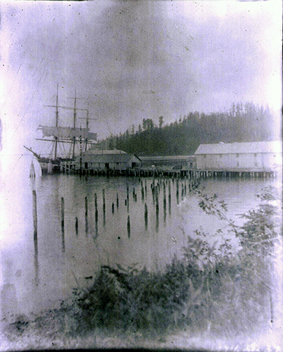 historic photo of a ship at port by the quarantine center