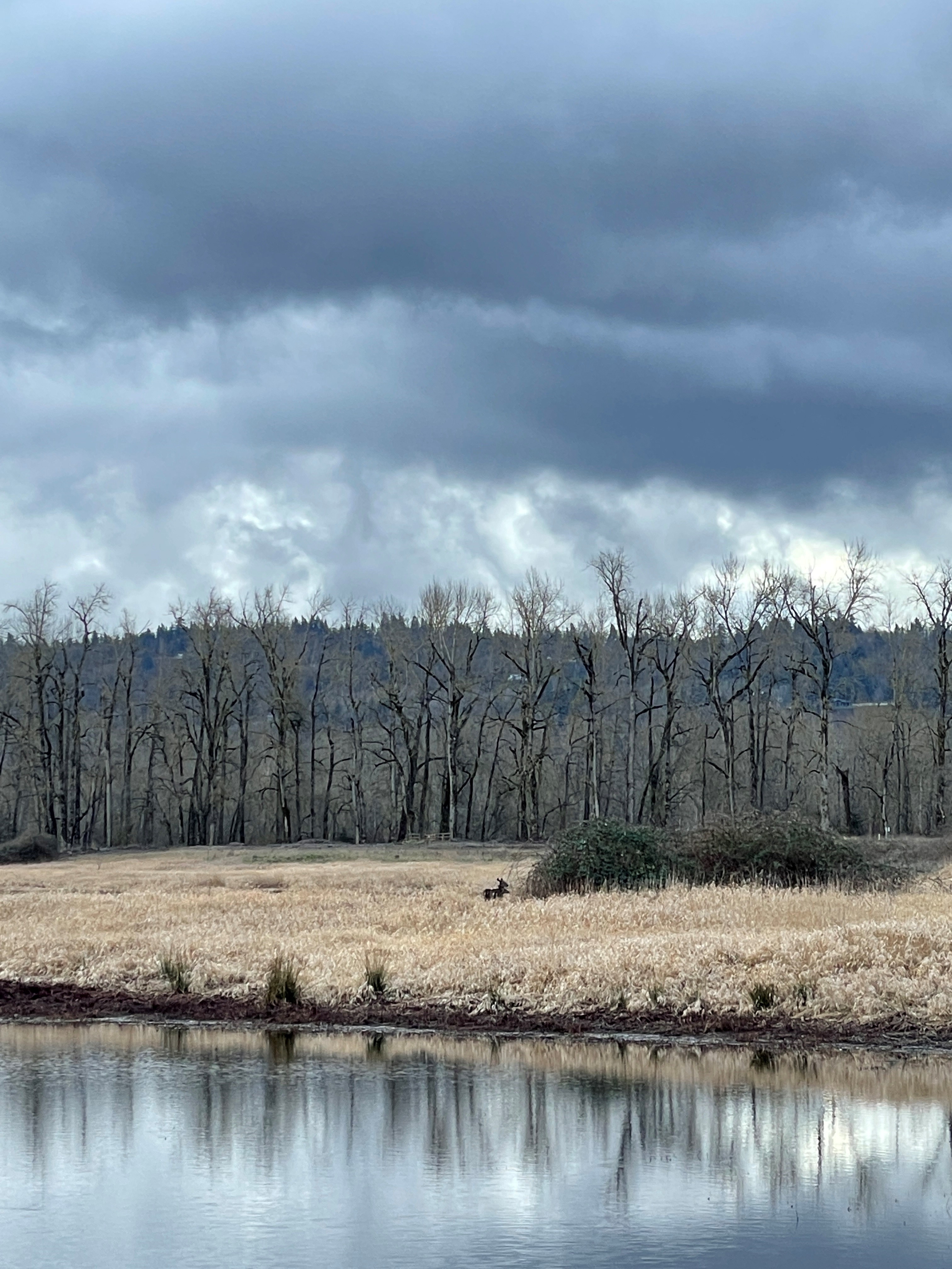 lake with gorge hill skyline