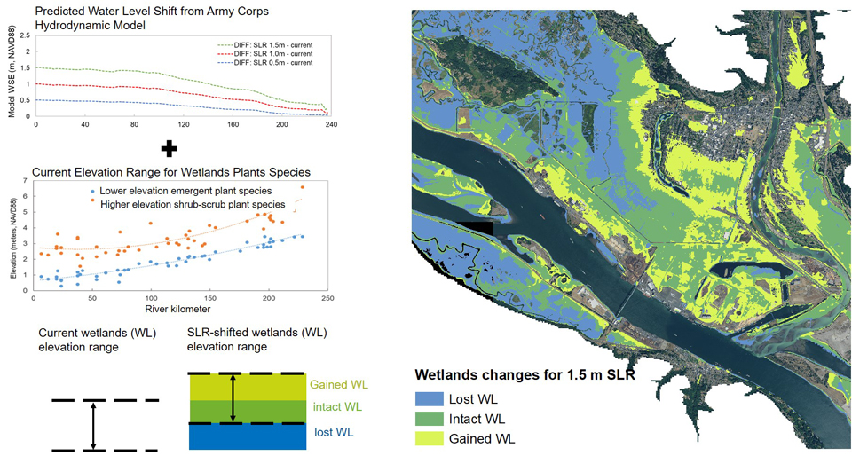 Sea Level Rise analysis