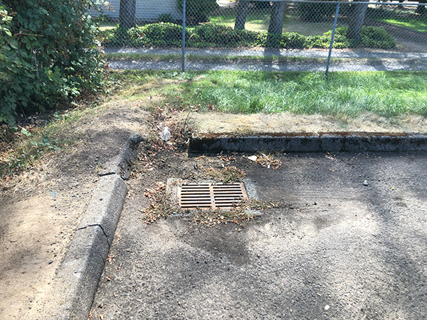 plain storm drain in the corner of a parking lot