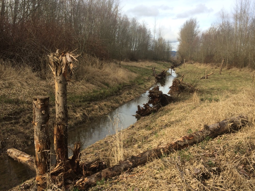 Thousand Acres after construction
