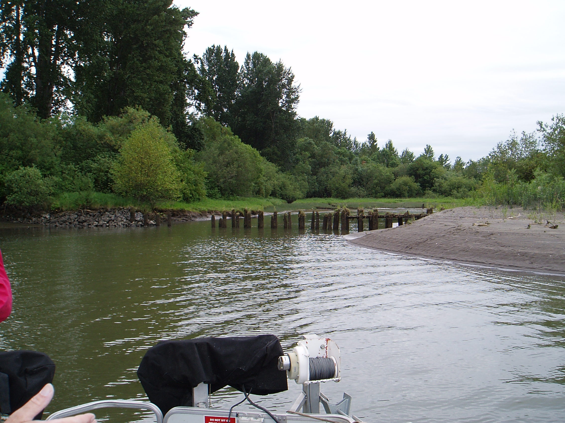 Cottonwood Island large slough The Lower Columbia Estuary Partnership