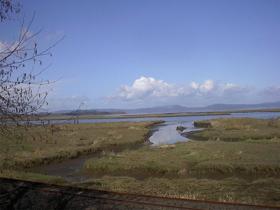 Wolf Bay Conservation The Lower Columbia Estuary Partnership