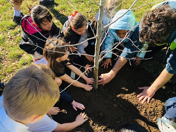 Boise-Eliot Tree Planting
