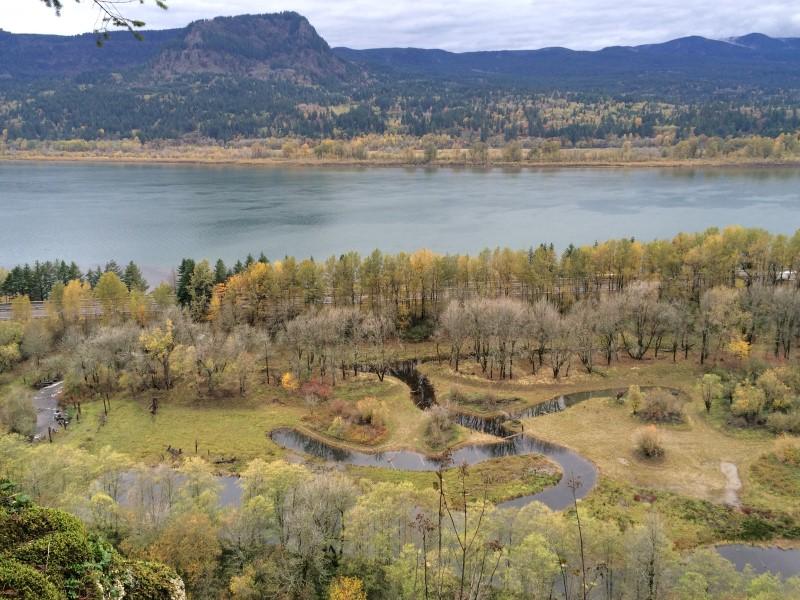 Horsetail Creek and the Columbia River