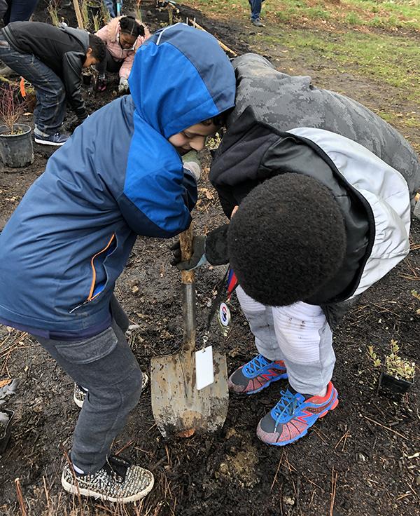 Boise-Eliot tree planting