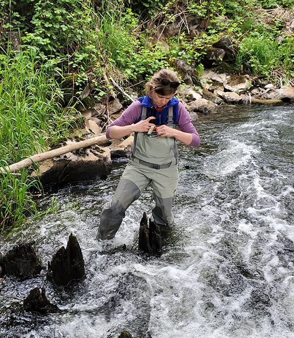 Jenny works to anchor monitoring equipment in the stream