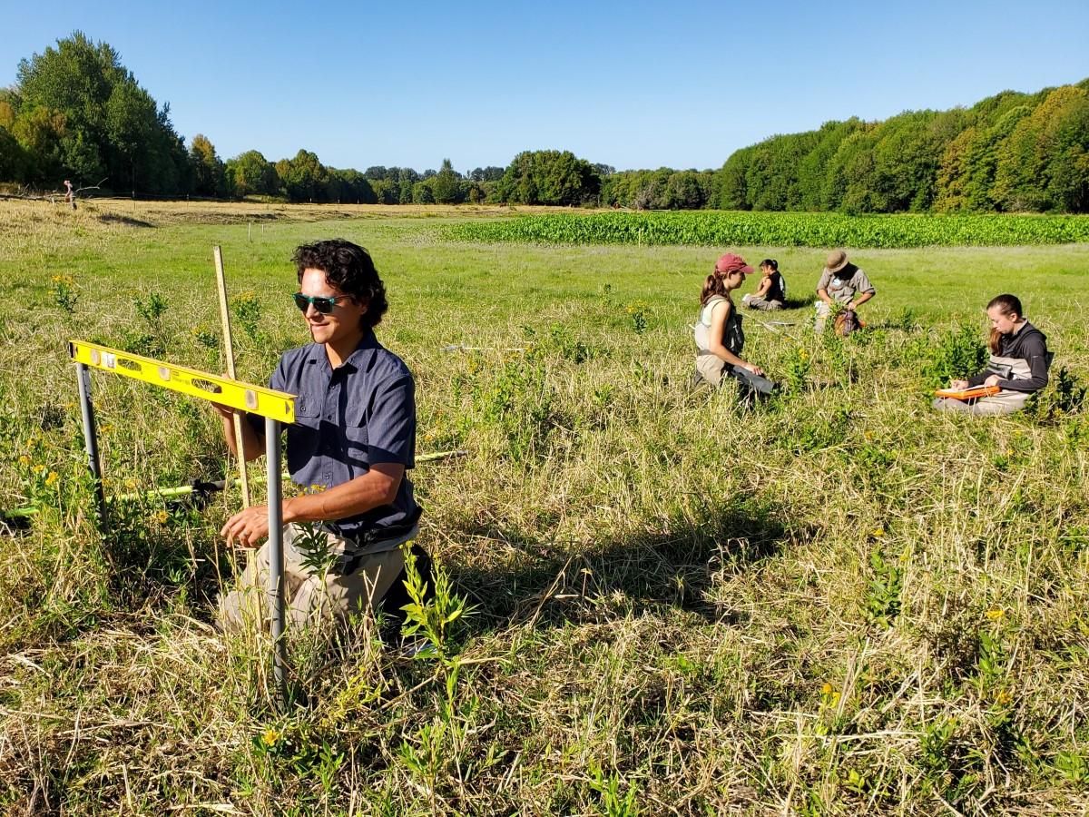 Monitoring at Campbell Slough