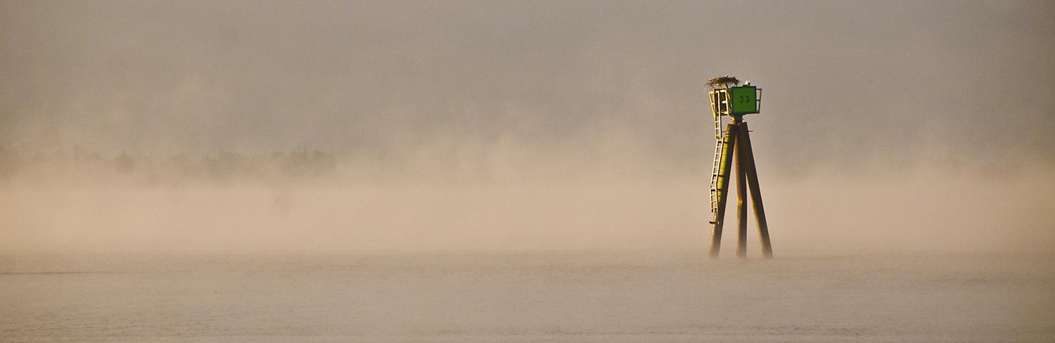 An osprey nest atop a sign in the river, surrounded by fog